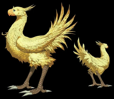 Chocobo portrait